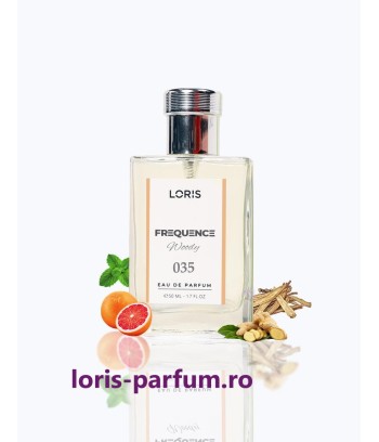 Parfum Loris, 50 ml, cod E035, inspirat din Chanel Blu
